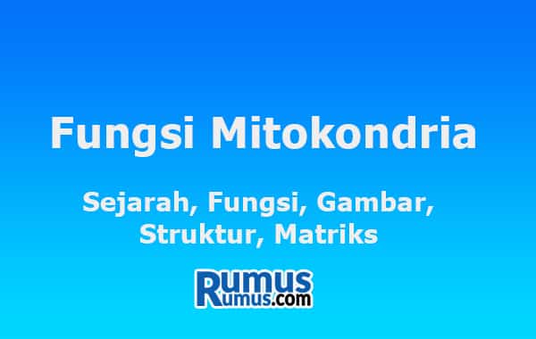 Fungsi Mitokondria – Sejarah, Fungsi, Gambar, Struktur, Matriks