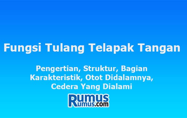 Fungsi Tulang Telapak Tangan – Pengertian, Struktur, Ciri-Ciri, Cedera