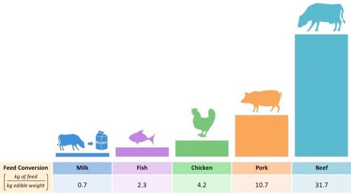 Pengertian Rumus FCR dan FCR (Food Conversion Ratio) + Contoh Soal