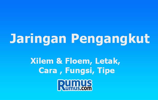 Jaringan Transportasi – Xilem & Floem, Letak, Cara, Fungsi, Jenis