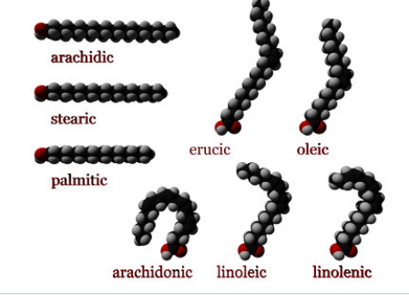 Pengertian Asam Lemak, Jenis, dan Rumus Asam Lemak
