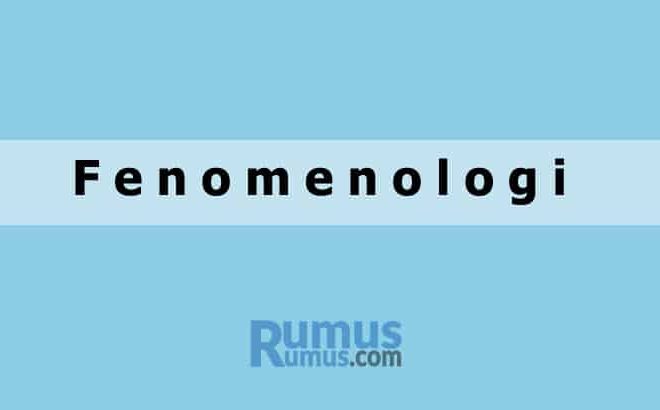Fenomenologi – Definisi, Manfaat, Metode Penelitian
