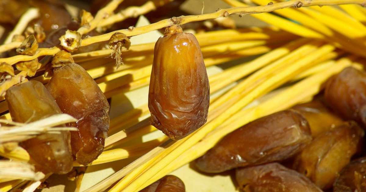 Manfaat Konsumsi Tanggal Selama Ramadhan